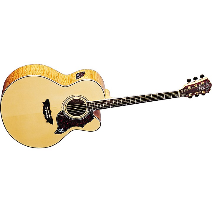 washburn j28scedl