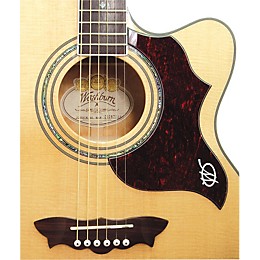 Open Box Washburn J28SCEDL Cumberland Jumbo Acoustic-Electric Guitar Level 2 Gloss Natural 889406484610