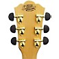 Open Box Washburn J28SCEDL Cumberland Jumbo Acoustic-Electric Guitar Level 2 Gloss Natural 889406484610