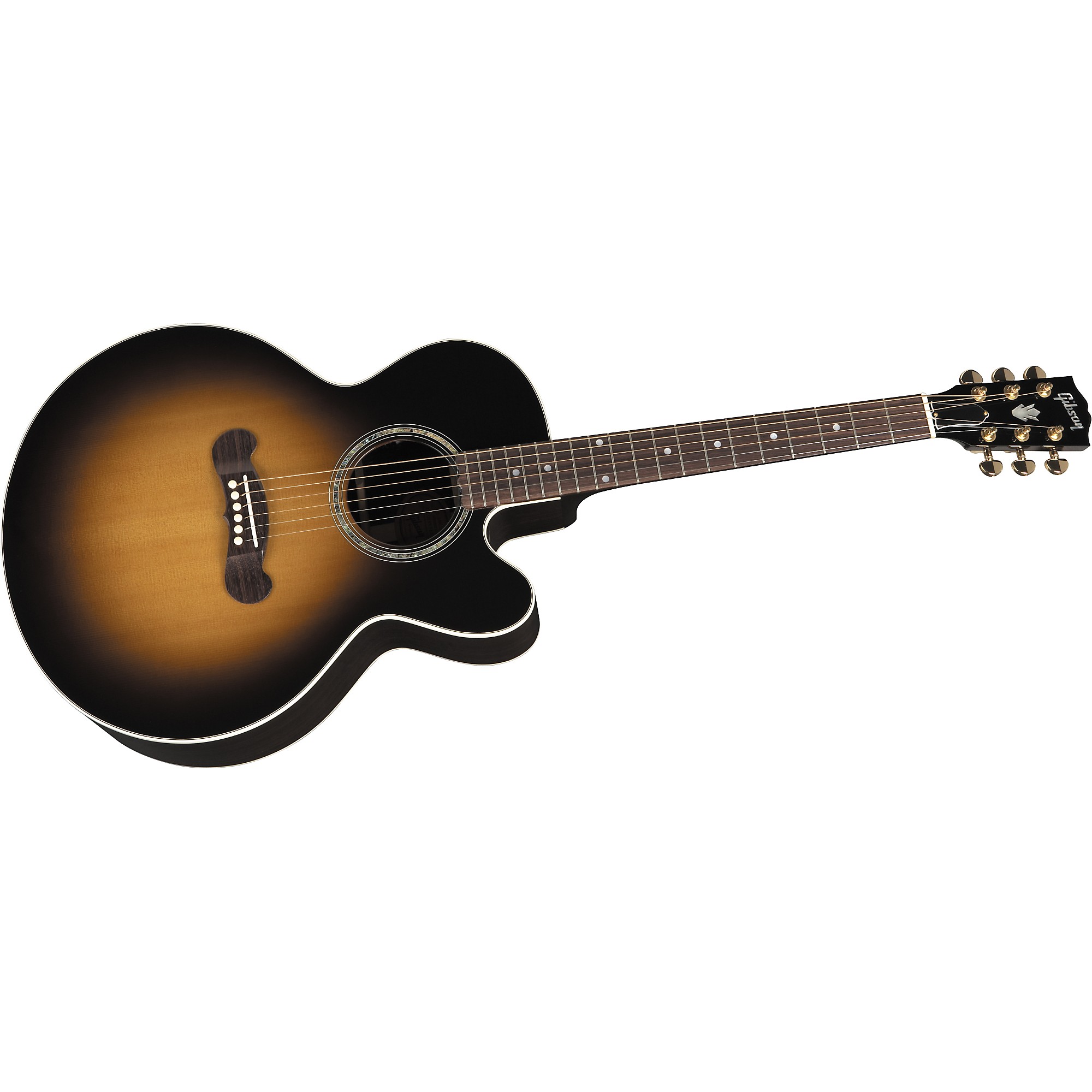 Gary E. Levinson LS-43 アコースティックギター LEVINSON ACOUSTIC LS-43 w/AK15plus|ドルフィンギターズ