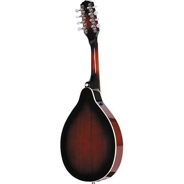 Open Box Fender FM 100 Mandolin Pack Sunburst | Guitar Center