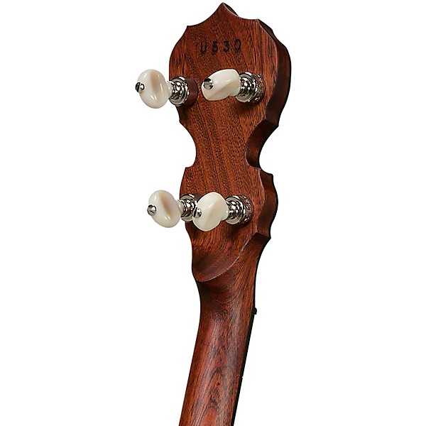 Open Box Deering Sierra 5-String Banjo Level 1