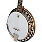 Open Box Deering B6 6-String Banjo Level 1