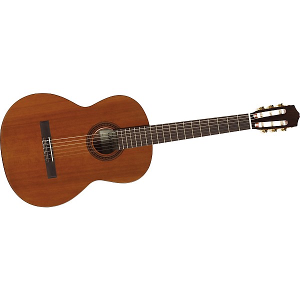 Open Box Cordoba C5 Acoustic Nylon String Classical Guitar Level 2 Natural 194744115608