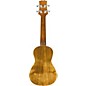 Open Box Mitchell MU100 Koa Concert Ukulele Level 1 Natural