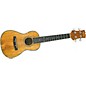 Open Box Mitchell MU100 Koa Concert Ukulele Level 1 Natural