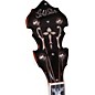 Gold Star GF-100FE Mahogany Flying Eagle 5-String Banjo