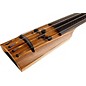NS Design CR Series CR-4M Electric Upright Double Bass Zebrawood