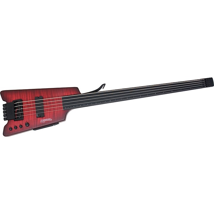 steinberger fretless bass