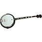 Rogue B-30 Banjo thumbnail