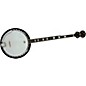 Rogue B-30 Banjo