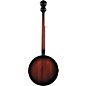 Rogue B-30 Banjo