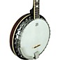 Rogue B-30 Banjo