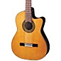 Ibanez GA Series GA6CE Classical Cutaway Acoustic-Electric Guitar Natural thumbnail