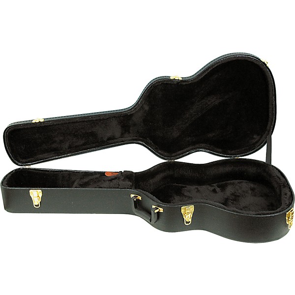 Open Box Ibanez AEG10C Hardshell Case for AEG Guitars Level 2  190839557353
