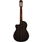 Espana Acoustic-Electric Classical Guitar