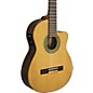 Espana Acoustic-Electric Classical Guitar