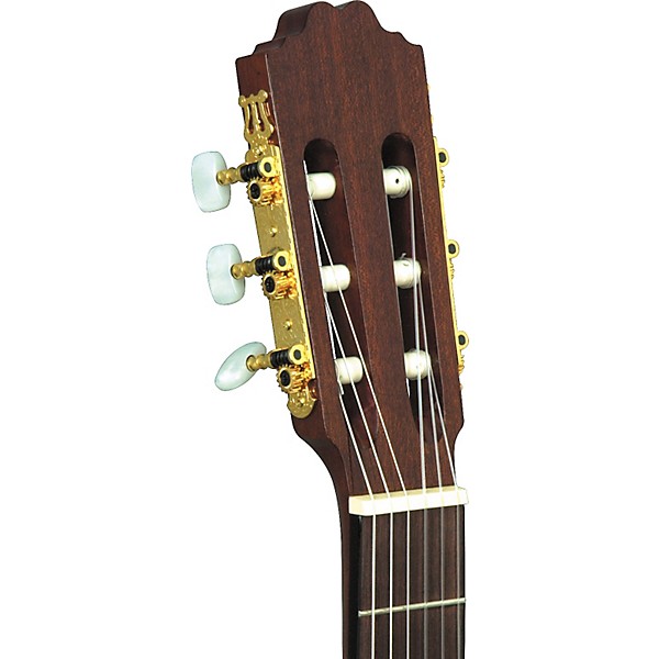 Espana Acoustic-Electric Classical Guitar