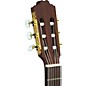 Espana Acoustic-Electric Classical Guitar