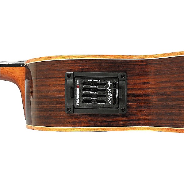 Espana Acoustic-Electric Classical Guitar