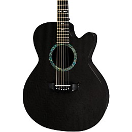 極美品 RainSong A-WS1000 カーボン アコースティックギター 極美品 RainSong A-WS1000 カーボン アコースティックギター