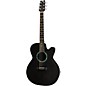 Open Box RainSong WS1000 Grand Auditorium Acoustic-Electric Guitar Level 2 886830218149