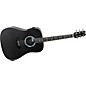 RainSong DR1000 Dreadnought Acoustic-Electric Guitar thumbnail