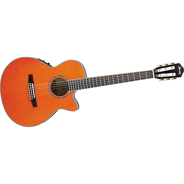 IBanes Ibanez(アイバニーズ) エレガットギター AEG10NE-NT ギグケース