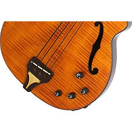 Epiphone Zenith エレアコBass d402ee02b19WjJGF2zc71gpPaQYhE2