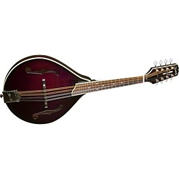 Open Box Kentucky Artist KM-254 A-Model Mandolin Level 1 Burgundy