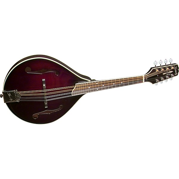 Open Box Kentucky Artist KM-254 A-Model Mandolin Level 1 Burgundy