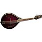 Open Box Kentucky Artist KM-254 A-Model Mandolin Level 1 Burgundy thumbnail