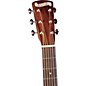 Blueridge Contemporary Series BR-60 Adirondack Dreadnought Acoustic Guitar Sunburst