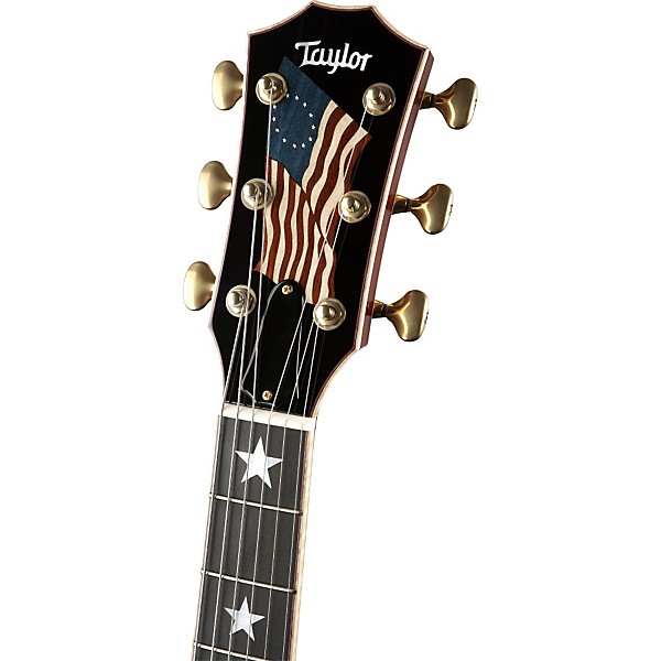Platinum Taylor T5 Series T5-BR2 Liberty Tree Acoustic