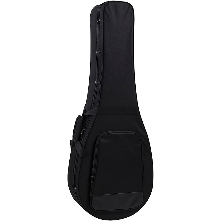 guitar center banjo case