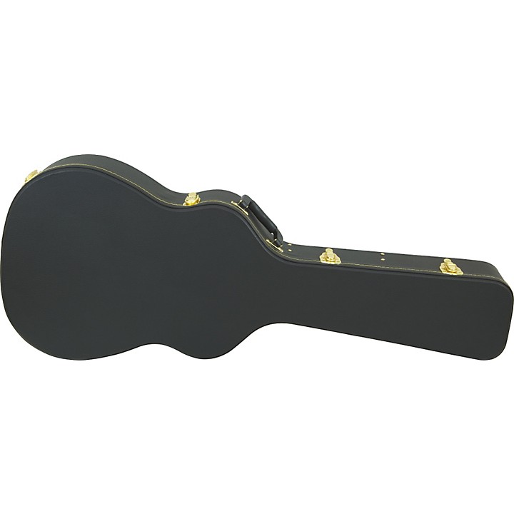 5 guitar case