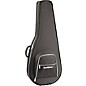 Clearance Road Runner Polyfoam Acoustic Guitar Case thumbnail