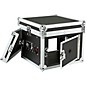Open Box Eurolite 10x6 Mixer/Amp Combo Rack Case Level 2 10 X 6 U 190839464286