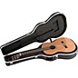 Open Box SKB SKB-30 Deluxe Thin-Line Acoustic-Electric and Classical Guitar Case Level 1 Black