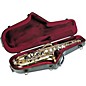 SKB SKB-450 Professional Contoured Tenor Saxophone Case