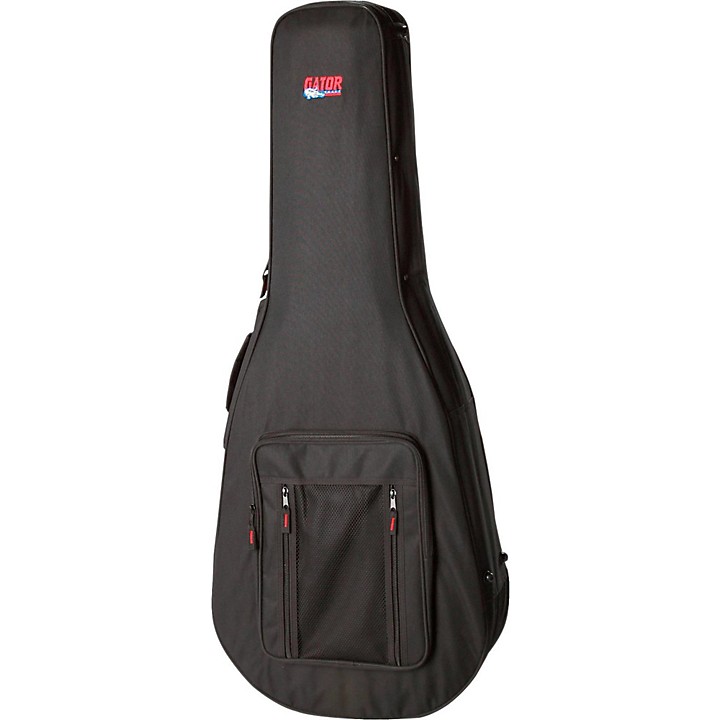 apx guitar case