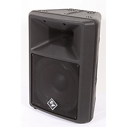 Electro-Voice SX100+ Passive Loudspeaker Black