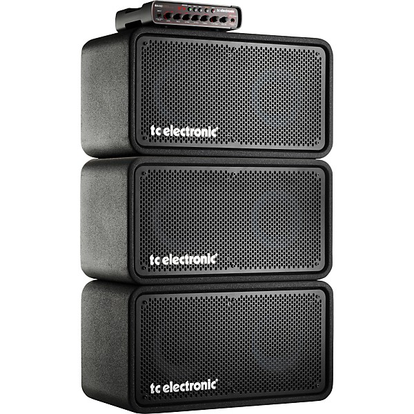 Open Box TC Electronic RS210 2x10 Vertical Stacking Bass Cabinet Level 1