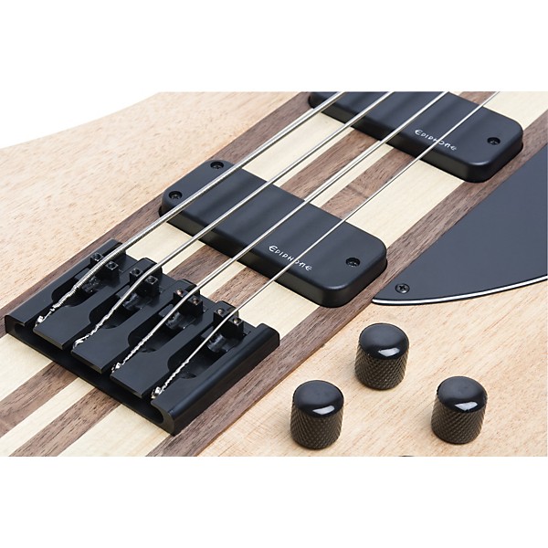 【レア＋おまけ】Epiphone Thunderbird Pro Bass IV Epiphone Thunderbird Pro-IV Vintage Sunburst – Chicago Music