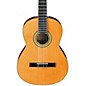 Ibanez GA3 Nylon String Acoustic Guitar Natural thumbnail