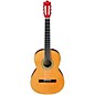 Ibanez GA3 Nylon String Acoustic Guitar Natural