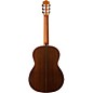 Open Box Cordoba C10 SP/IN Acoustic Nylon String Classical Guitar Level 2 Natural 190839704955