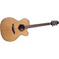 Takamine Jumbo ETN20C Acoustic-Electric Guitar Satin Natural