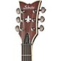 Schecter Guitar Research Blackjack ATX Solo-6 Limited Electric Guitar Satin Walnut