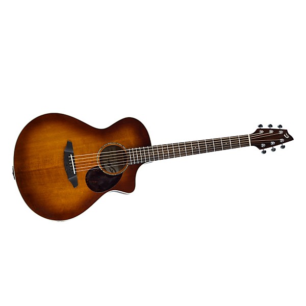 Open Box Breedlove Passport PLUS C250/SFe Acoustic-Electric